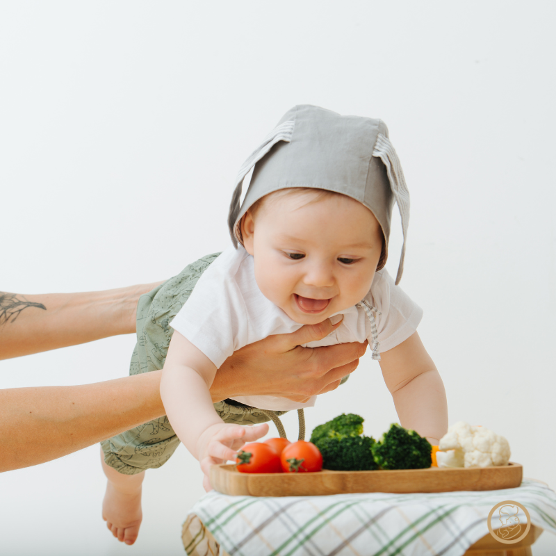 Alimentação Infantil: Introdução de Sólidos de Forma Segura e Saudável