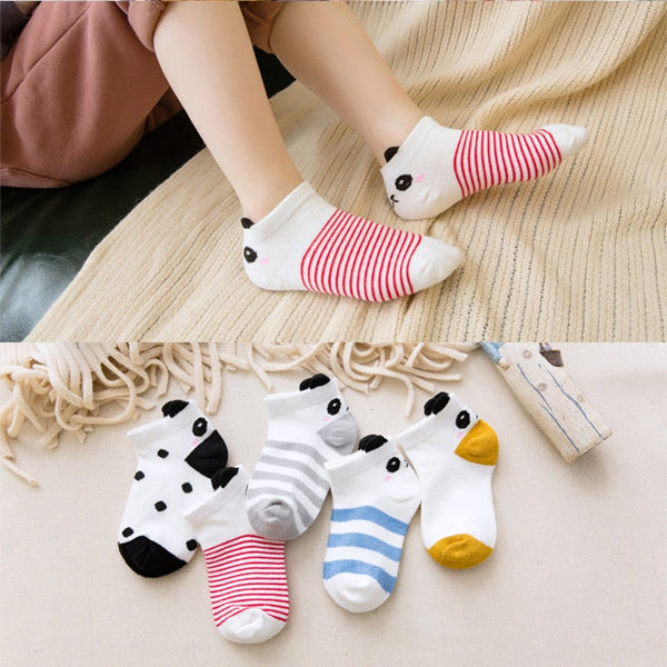Kit 5 Pares de Meia Panda - Ama Mamma