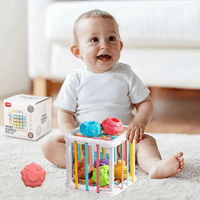 Brinquedos Montessoriano | Blocos de Forma Colorida - 0~36 meses